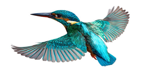 Fototapeta premium A vibrant kingfisher bird in mid-flight above a serene water body