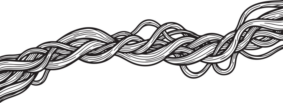 Vintage botanical branch illustration. Decorative engraved plant stem with flowing curves and ornamental lines, hand-drawn outline vector.eps