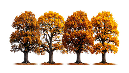A row of vibrant autumn trees with yellow and orange leaves against a black background