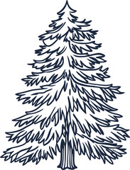 Obraz premium hand drawn pine tree illustration detailed evergreen conifer silhouette nature and forest evergreen design