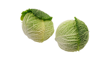 Fototapeta premium Two green cabbages with visible leaf texture are positioned side by side in the frame clean white background cutout