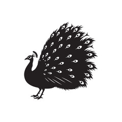 Black Peacock  silhouette vector illustration