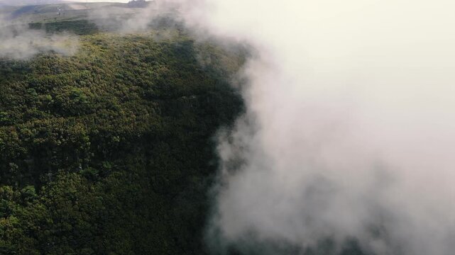 Drone shot above Levada do Alecrim, Madeira