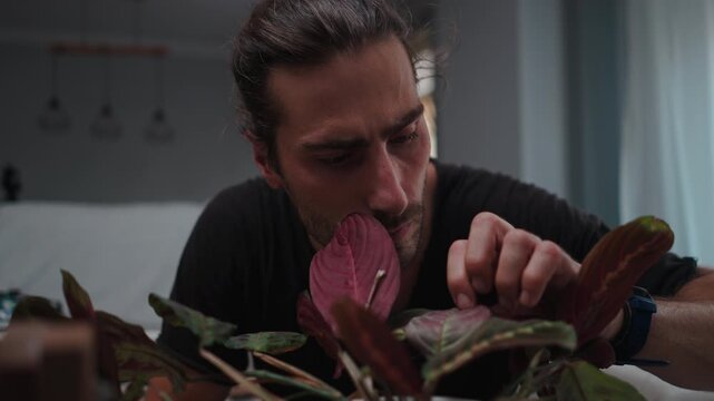 Millennial man caring for houseplant leaves