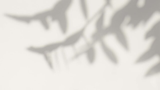Abstract silhouette blurred shadow white background of natural leaves tree branch falling on wall. Transparent shadows leaf in morning sun light. Copy space for text.