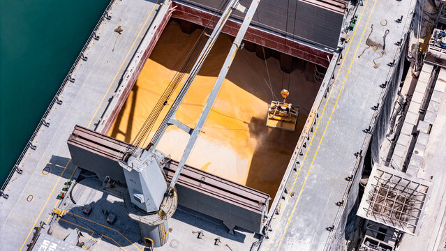 Bulk grain cargo being loaded into ship hold at port terminal.