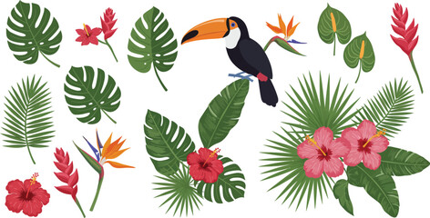 Fototapeta premium Colorful tropical leaves flowers and a toucan bird on white background illustration collection