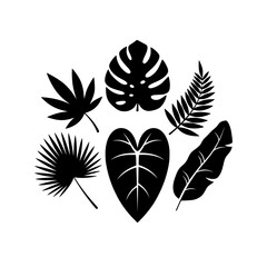Tropical Leaves Silhouette Collection Bundle Vector Set