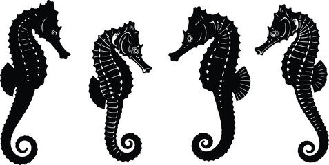 Four black seahorse silhouettes on a white background © abu sharif