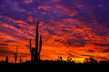 Sunrise - Arizona