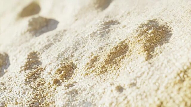 Sunlit sandy surface with fine granular texture and warm beige to golden tones, abstract natural pattern ideal as background or close up detail of desert or beach sand
