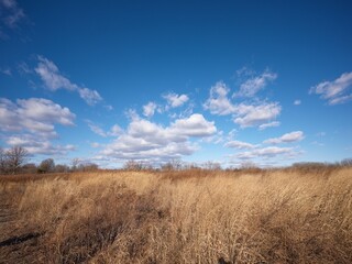 field and sky Open grassland landscape at Marine Park in Brooklyn, New York under blue sky with clouds