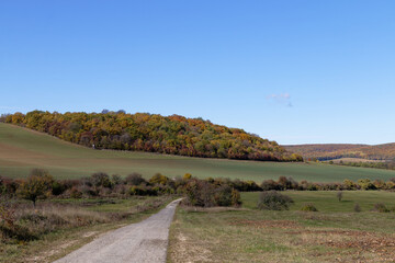 Fototapeta premium Autumn landscape with a winding road through rolling hills and colorful trees