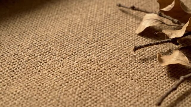 Natural burlap fabric with a coarse texture for a rustic background. A small branch with dry autumn leaves is placed on the jute surface for a seasonal flat lay composition