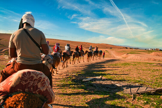Camel trekking at sunset in the rocky Agafay Desert near Marrakech