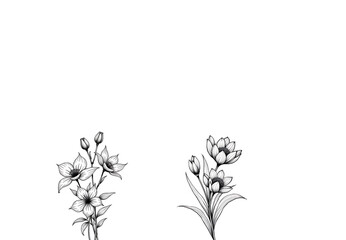 Fototapeta premium Two delicate floral arrangements in white against a stark black background, showcasing intricate details.