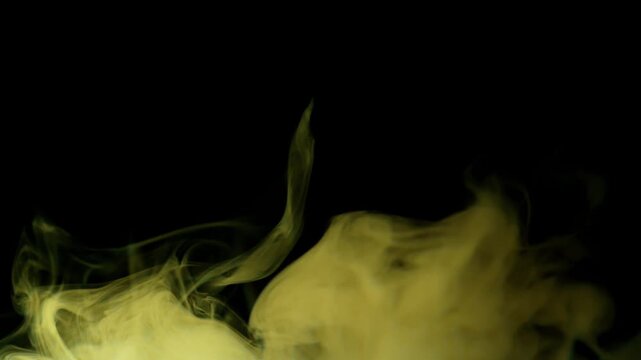 Dense clouds of vapor shift between neon colors while rising against an isolated black background. Concept of mysterious atmosphere, chemical reaction, and abstract nightlife energy.