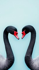 Swans form heart shape with necks against blue background for Valentine39;s Day greeting card idea