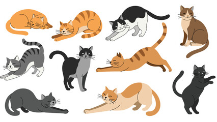 Obraz premium Diverse collection of cartoon cats in various poses such as stretching, sleeping, and sitting with different fur patterns and colors.