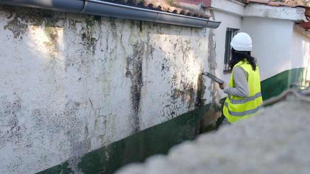 Building inspector examining an exterior wall, assessing severe water damage, black mold growth, and moisture issues during a property inspection documenting repair needs
