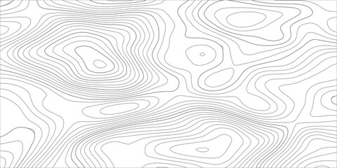 Abstract terrain elevation map with black contour lines and soft gray flowing curves, representing geographic landscape and mountain cartography in a clean minimalist style. © Hasan