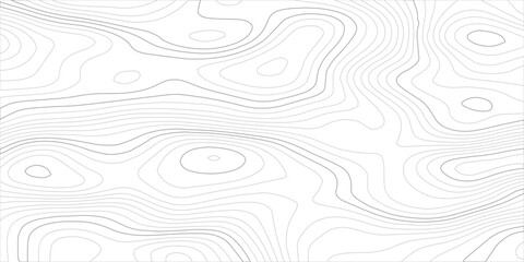 Minimal light gray topographic contour line pattern featuring smooth organic terrain curves, vector land elevation and mountain cartography in an abstract modern map background © Hasan