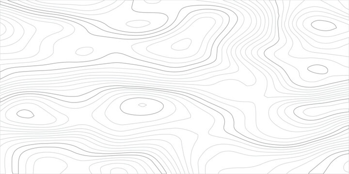 Minimal light gray topographic contour line pattern featuring smooth organic terrain curves, vector land elevation and mountain cartography in an abstract modern map background
