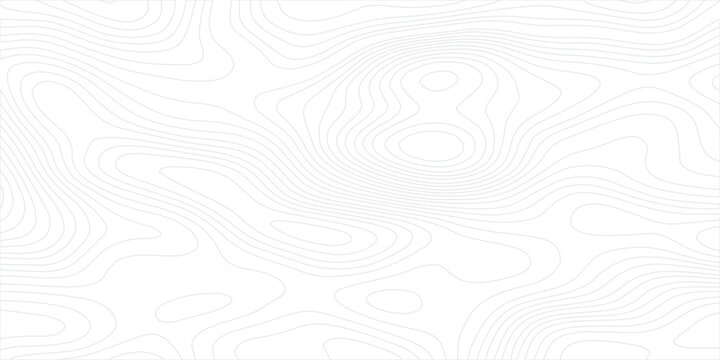 Abstract topographic map background with black contour lines representing land elevation and mountain geography, combined with light gray organic terrain curves in a subtle minimalist design.