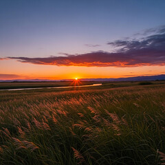 sunset over the field
