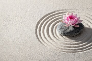 Obraz premium Pink lotus on stone with sand ripples in zen garden setting
