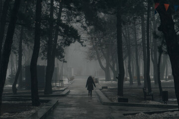 Naklejka premium A lone figure walks away down a wet, paved path in a gloomy park during a foggy winter day. The scene is framed by tall, dark pine trees and bare branches, with melting snow patches lining the walkway