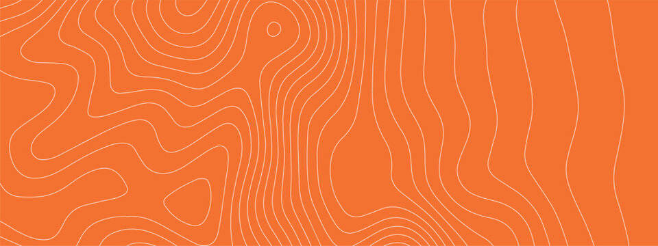 Meat bg sushi for tuna salmon fish and pattern texture abstract. Peach japanese seafood for japan design meat and art gourmet seamless. Meat outline marble for tuna illustration bg and salmon.