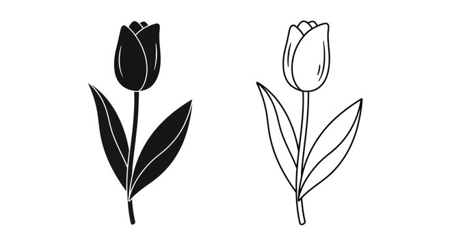 Two simple tulip flower line art drawing black and white illustration Vector