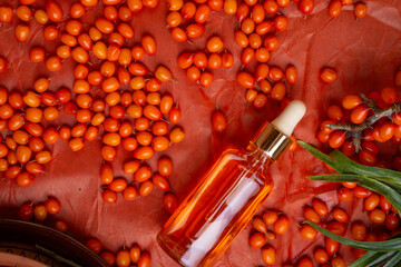  sea buckthorn oil  around ripe sea buckthorn  branch  with berries on orange background. close up. flat lay