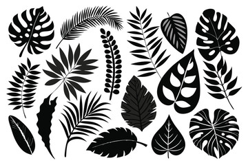 Fototapeta premium set of tropical leaves and palm leaves silhouette line art vector illustration with a white background