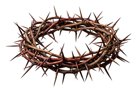Crown of thorns made from twisted branches isolated on transparent background religious Easter symbol minimalist design