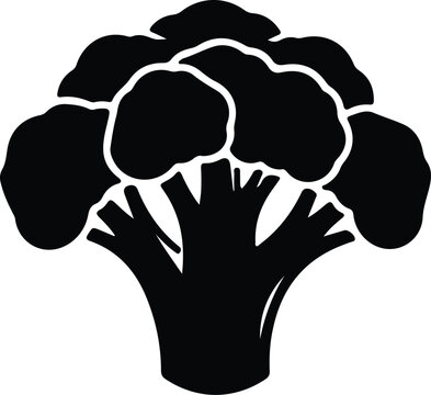 silhouette fresh healthy broccoli vegetable isolated on white background vector design