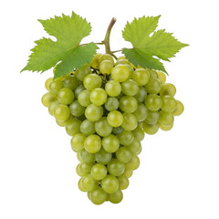 A bunch of green grapes hanging from a vine with leaves. isolated on transparent background