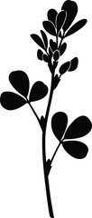 Obraz premium silhouette minimalist plant stem with small leaves elegant natural vector design