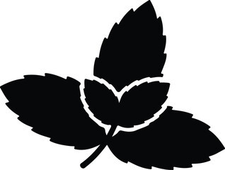 silhouette simple fresh mint leaves aromatic herb food flavoring ingredient vector design © AbuSadat