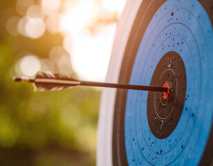 Capture success with an arrow hitting the bullseye in soft golden light. This premium image symbolizes precision, goal achievement, and professional motivation for various marketing uses.