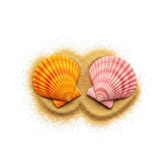 Two seashells placed side by side on a sandy surface with vibrant colors. isolated on transparent background