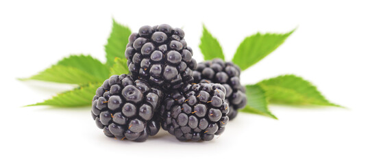 Ripe blackberries with green leaves isolated on white background