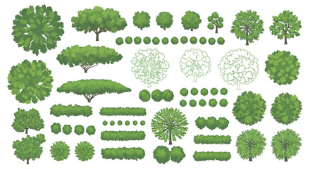 Minimal CAD Tree Top View Linework – Landscape Architecture Plan Symbols Vector Illustration Isolated White Background © Ai_Images