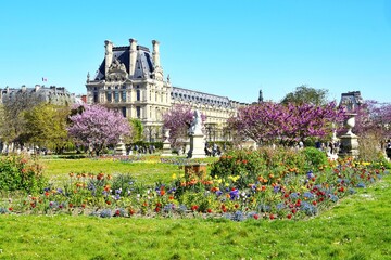  Tuileries Gardens with flowers in the foreground, statues and architecture in the background in spring in Paris © Natalia