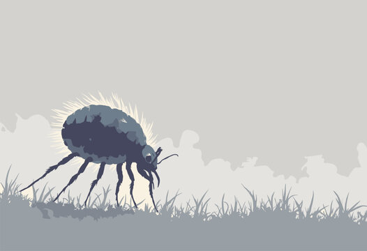 Dust Mite background microscopic Faint sketch mite corner Allergen theme Grey scale