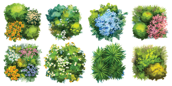 Watercolor set of flower beds bush, top view landscape architectural maps plan environmental isolated on transparent background