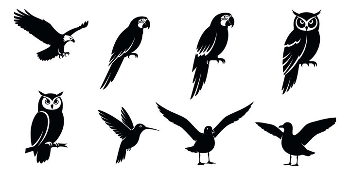 Black silhouettes of various birds on white background bird silhouettes black birds 1 eagle parrot