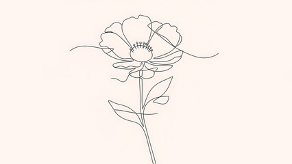 Minimalist line of a flower isolated on a transparent background