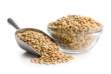 Uncooked green lentil in scoop  isolated on white background.